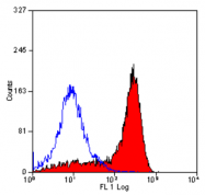 SM262PS - CD11b