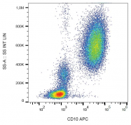 SM3006APC - CD10 / Neprilysin