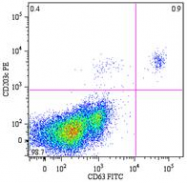 SM3035PP - CD63