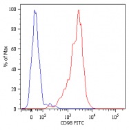 SM3080B - CD98 / SLC3A2