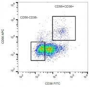 SM3083C - CD38