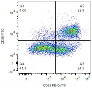 SM3083PP - CD38