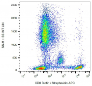SM3102B - CD8