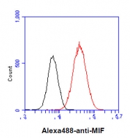 SM6013 - MIF