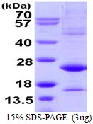 AR39067PU-L - ATF3