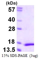 AR39130U-L - MYL5