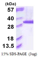 AR50133PU-N - PSMA6