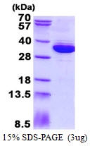 AR50565PU-N - MRTO4
