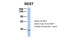 ARP32478_P050 - REST