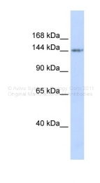 ARP32490_P050 - RBL1