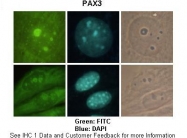 ARP32736_P050 - PAX3