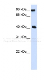 ARP32948_P050 - PBXIP1