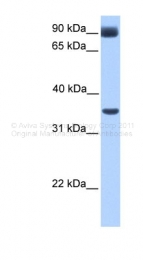 ARP33737_P050 - CIR1