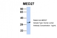 ARP33743_P050 - MED27