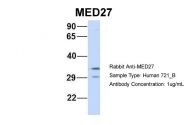 ARP33743_P050 - MED27