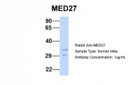 ARP33743_P050 - MED27