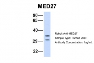 ARP33743_P050 - MED27