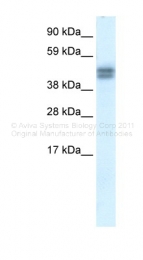 ARP34304_P050 - SAP30BP