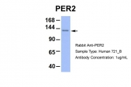 ARP39565_P050 - PER2