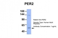 ARP39565_P050 - PER2