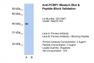 ARP40630_T100 - PCBP1