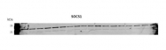 ARP42147_T100 - SOCS1