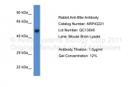 ARP43221_P050 - BFAR / RNF47