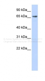 ARP43694_P050 - SAP102 / Dlg3