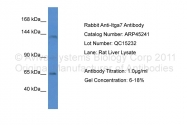 ARP45241_P050 - Integrin alpha-7 / ITGA7