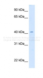 ARP47825_P050 - CAD
