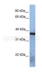 ARP48508_P050 - NAT12