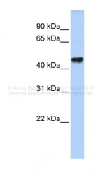 ARP48903_P050 - QTRTD1