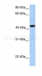 ARP49706_P050 - EDAR