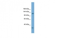 ARP56522_P050 - RFC1 / RFC140