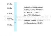 ARP60484_P050 - PCBD2