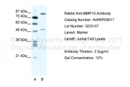 AVARP09017_T100 - MMP-10