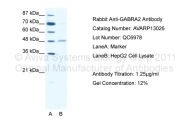AVARP13026_T100 - GABRA2