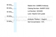 AVARP13032_P050 - GABRD