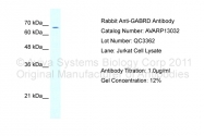 AVARP13032_T100 - GABRD