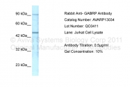AVARP13034_P050 - GABRP