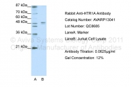 AVARP13041_P050 - Serotonin receptor 1A (HTR1A)