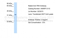 AVARP13110_P050 - Thyrotropin-releasing hormone (TRH)