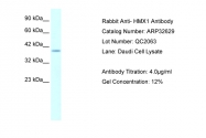 ARP32629_P050 - HMX1