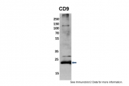 ARP61171_P050 - CD9
