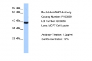 P100859_T100 - PAX2
