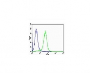 bs-0279R - VEGF-A