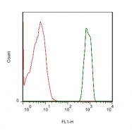 bs-0560R - Interleukin-13 / IL13