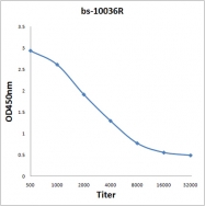 bs-10036R - REG4