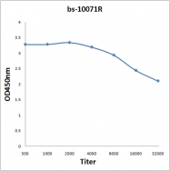 bs-10071R - VEGF-B