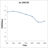bs-10072R - VEGF-B